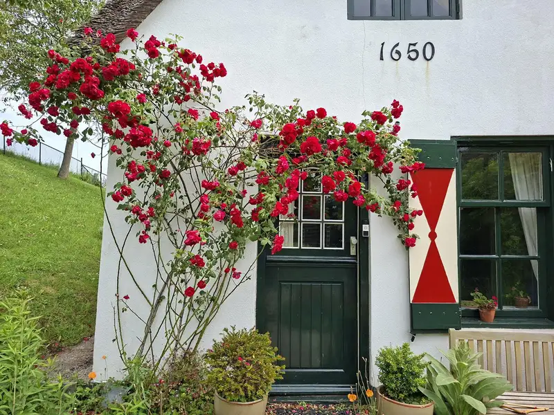 House Exterior