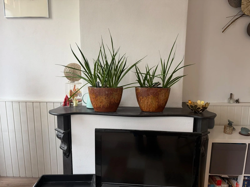 House Image 3