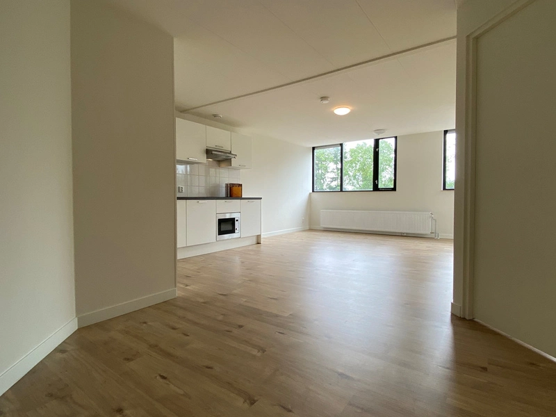 recent house