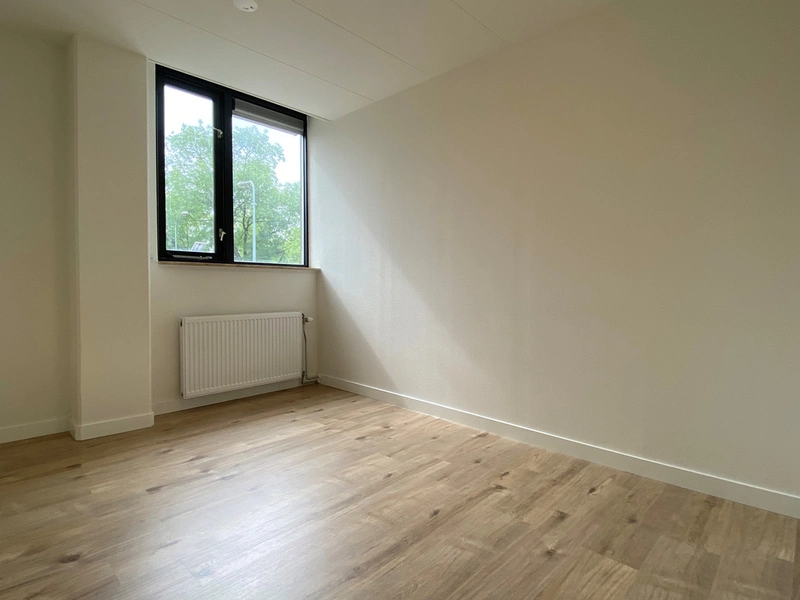 House Image 5