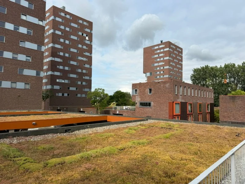 House Exterior