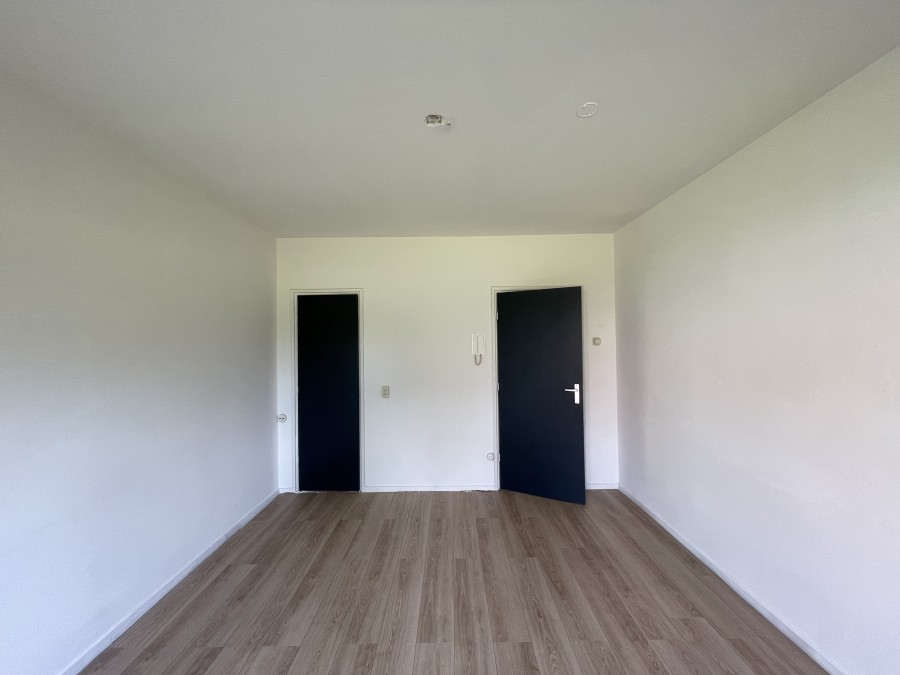 House Image 4