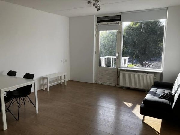 House Image 4
