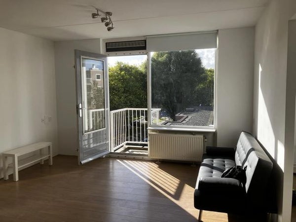 House Image 5