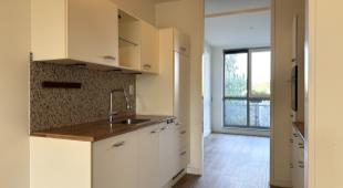 House Image 4