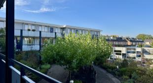 House Image 5