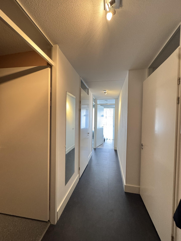 House Image 3