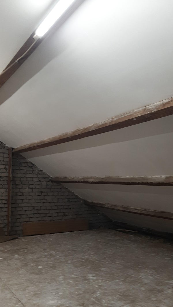 House Image 3