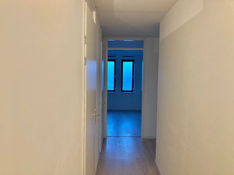 House Image 3