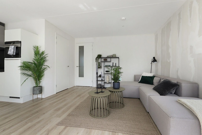 House Image 3