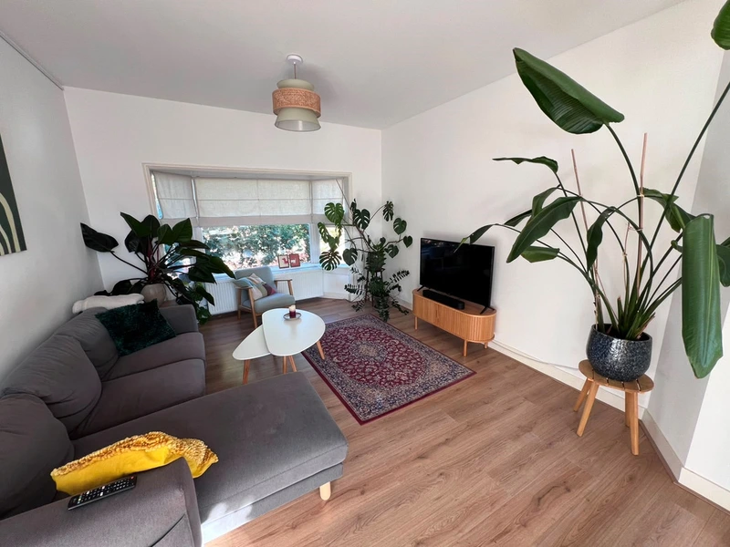 House Image 3