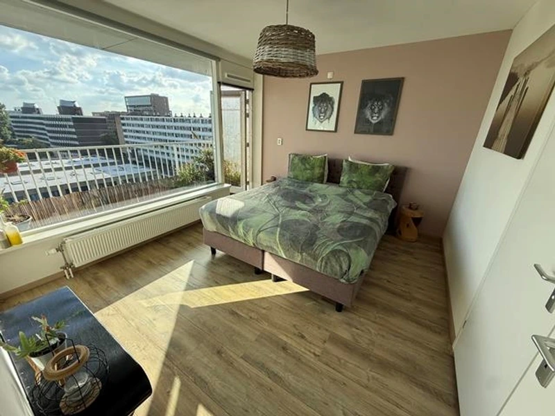 House Image 5