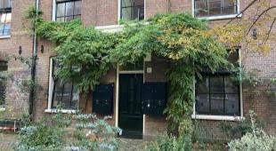 House Image 3