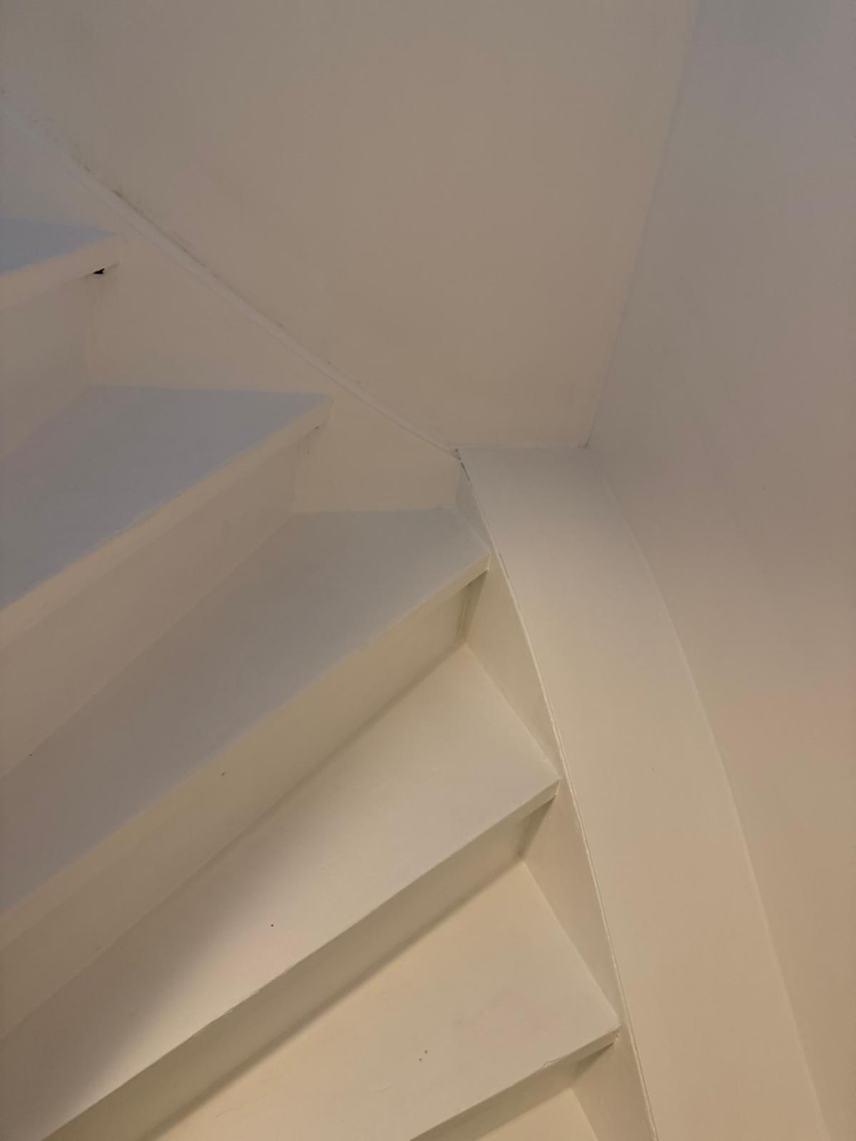 House Image 4