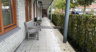 House Image 3