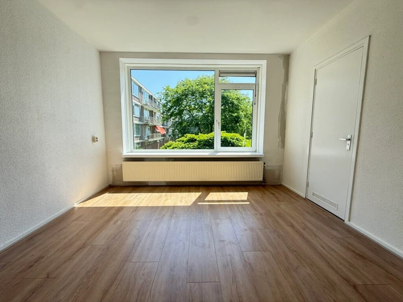 House Image 5