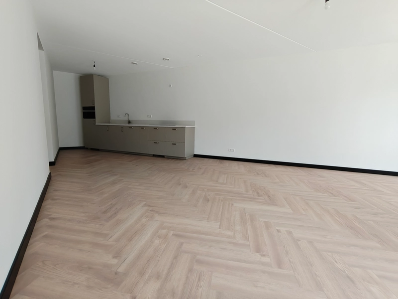 House Image 4